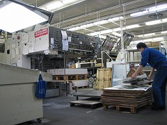IMG_2519.jpg