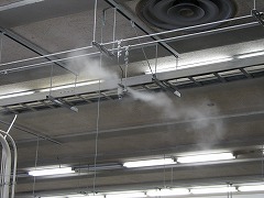 IMG_2521.jpg