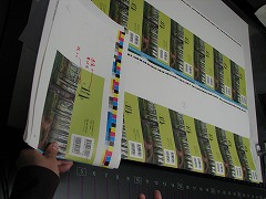 IMG_2523.jpg