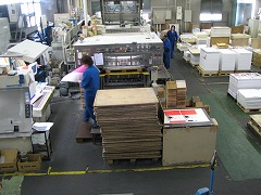 IMG_2550.jpg