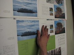 IMG_2553.jpg