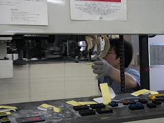 IMG_2557.jpg