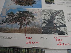 IMG_2568.jpg