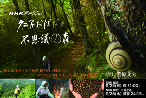 NHKスペシャル「クニ子おばばと不思議の森」